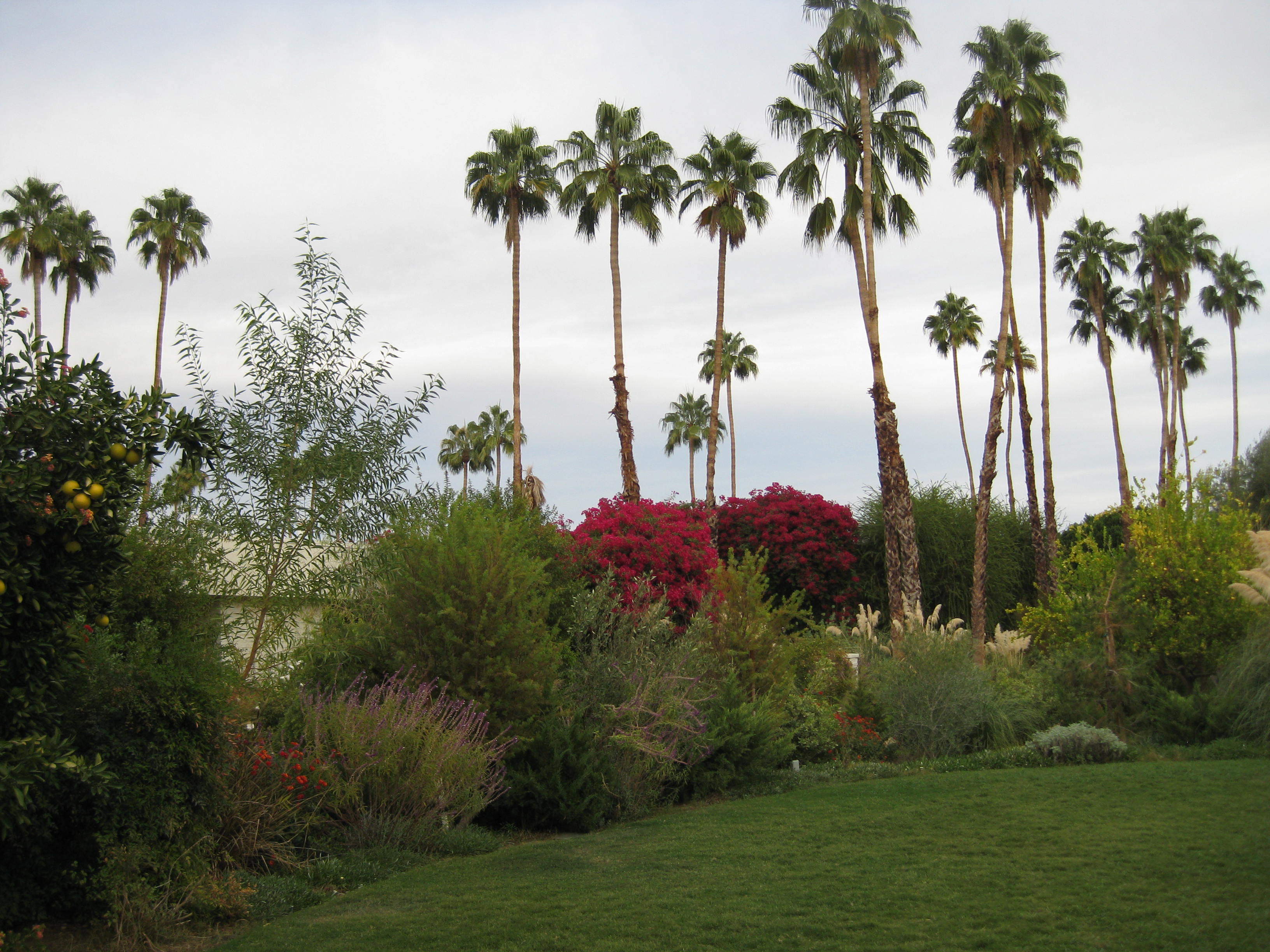 Palm Springs (Nov 2009) 